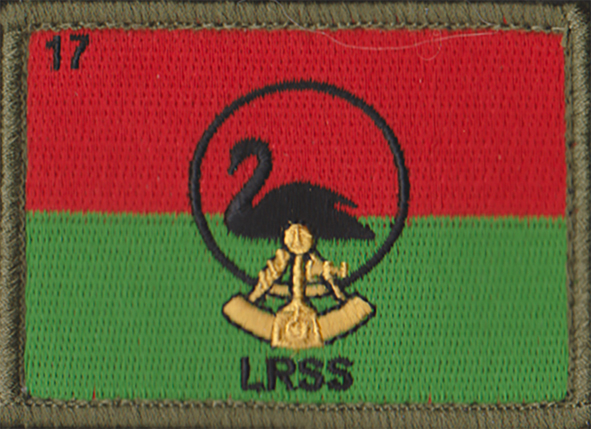 Littoral and Riverine Survey Squadron (LRSS)