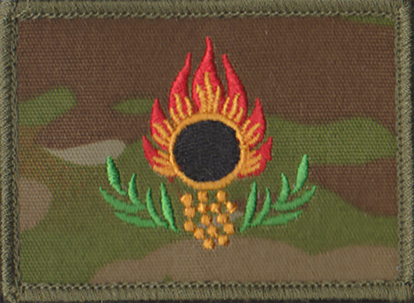 Ammunition Technical Officer (AMCU)